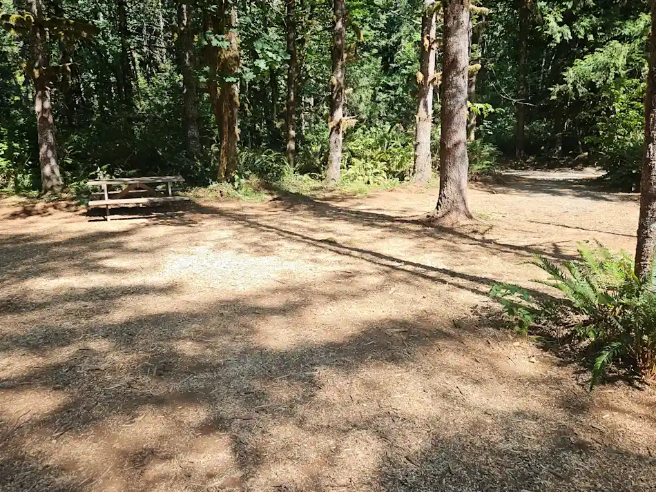 Site 5 - Hemlock
