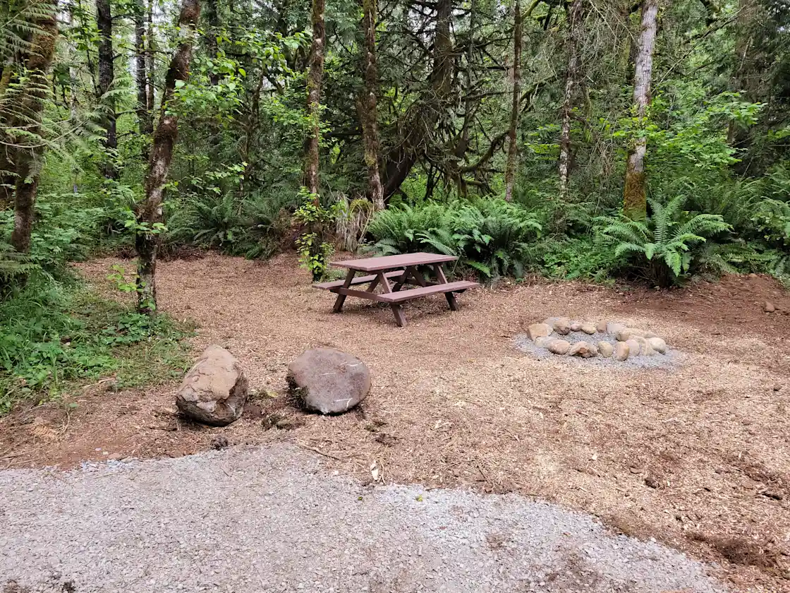 Site 2 - Cedar