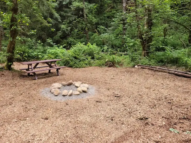 Site 7 - Vine Maple
