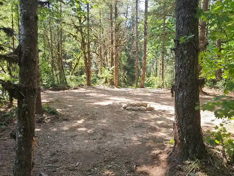 Site 4 - Cottonwood