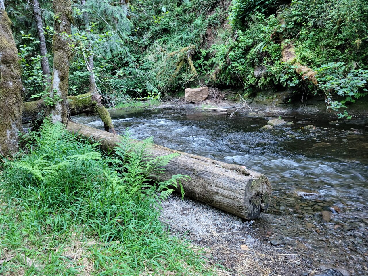 Zen Acres Retreat Estacada Unplug Relax Breathe
